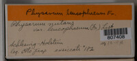 Image Associated With the Occurence